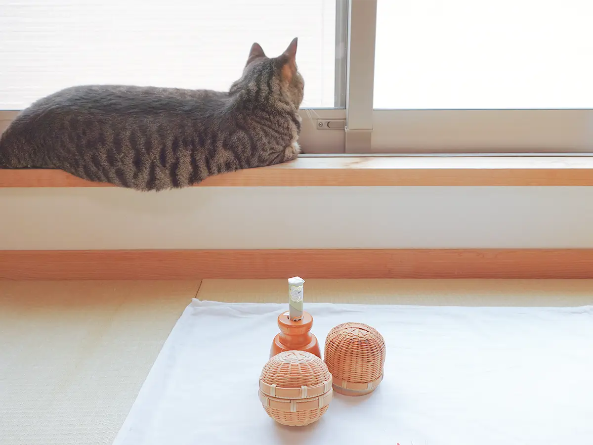 池田市石橋のはりとおきゅうとエムの内観と各種お急